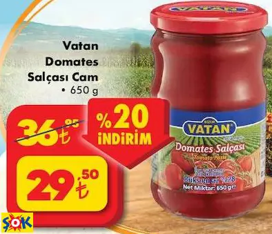 VATAN DOMATES SALÇASI CAM